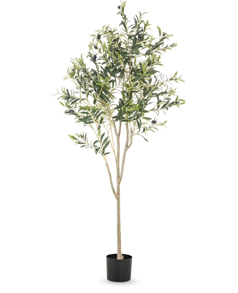 Künstlicher Olivenbaum 180 cm