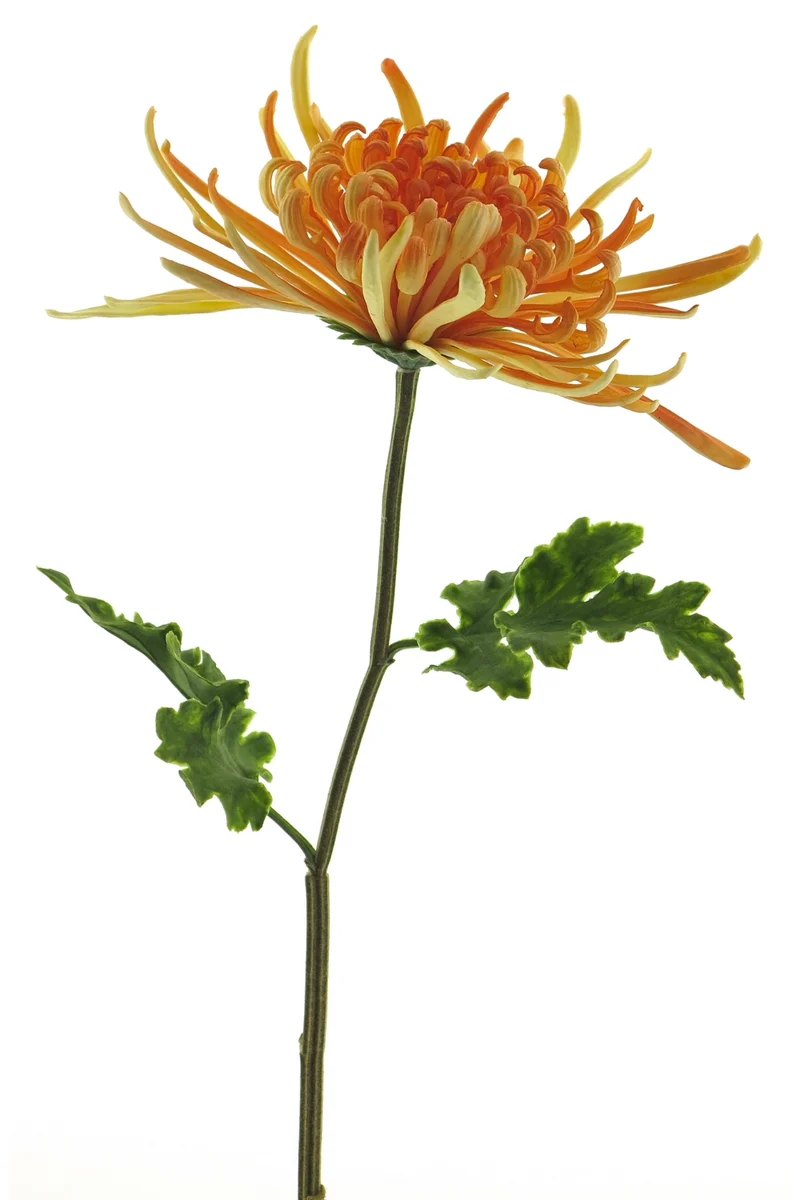 Chrysantheme Monaco Kunstblume 68 cm Pfirsich
