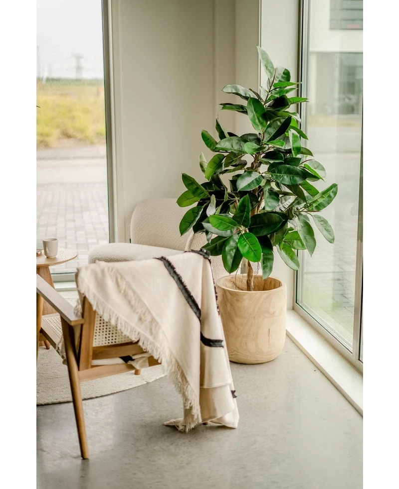 Kunstplant Rubber Plant 150 cm