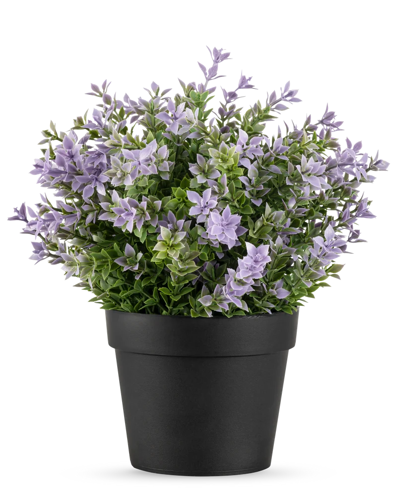 Künstlicher Buxus lila 22 cm UV