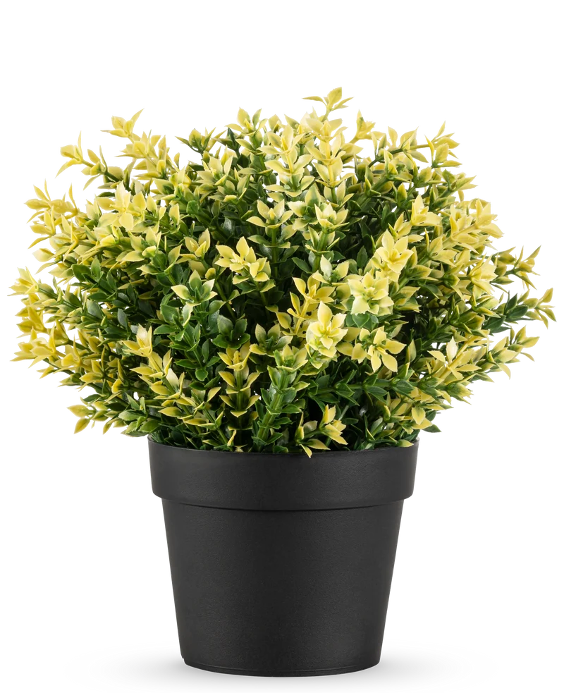 Künstliche Pflanze Buxus gelb 22 cm UV