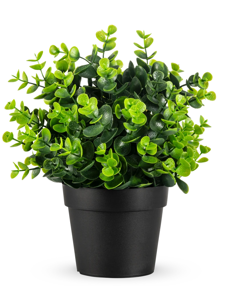 Künstliche Pflanze Grün im Topf 22 cm UV