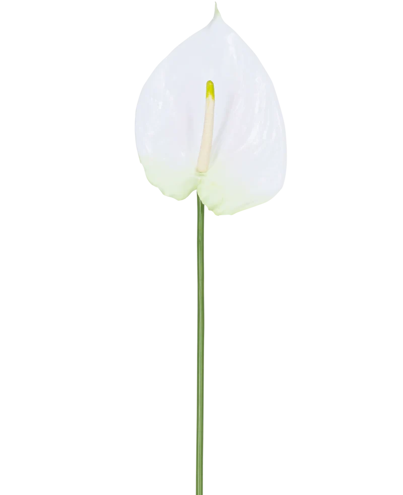 Künstliche Anthurie 65 cm weiß