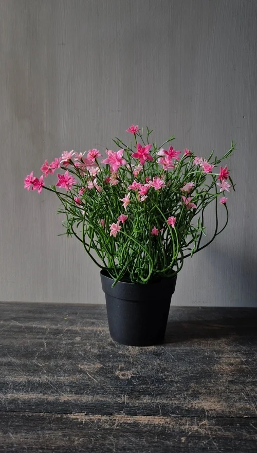 Roze sterbloem kunstplant in binnenpot 25 cm