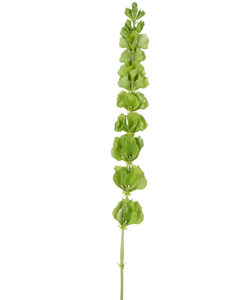 Künstliche Blume Glocken aus Irland 98 cm