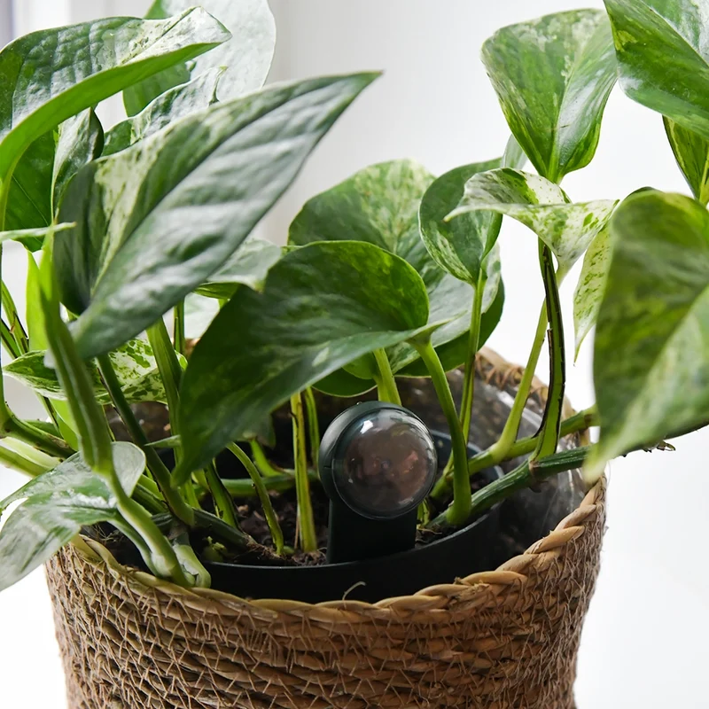 Seegraskorb Natur 19cm
