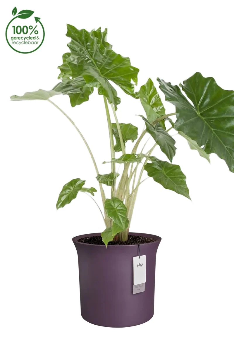 Blumentopf Elho June Tulip 47 cm Vintage Pflaume