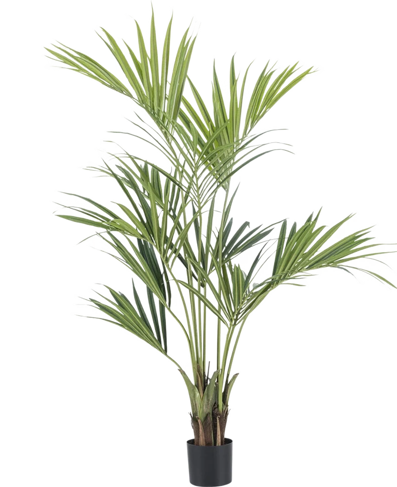 Kunstpalm Kentia 165 cm
