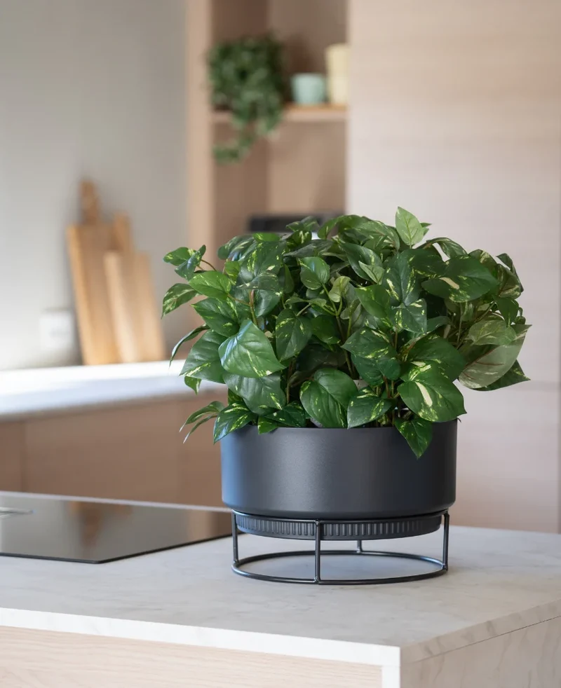 Kunstplant Gouden Wijnstok in Pot 40cm