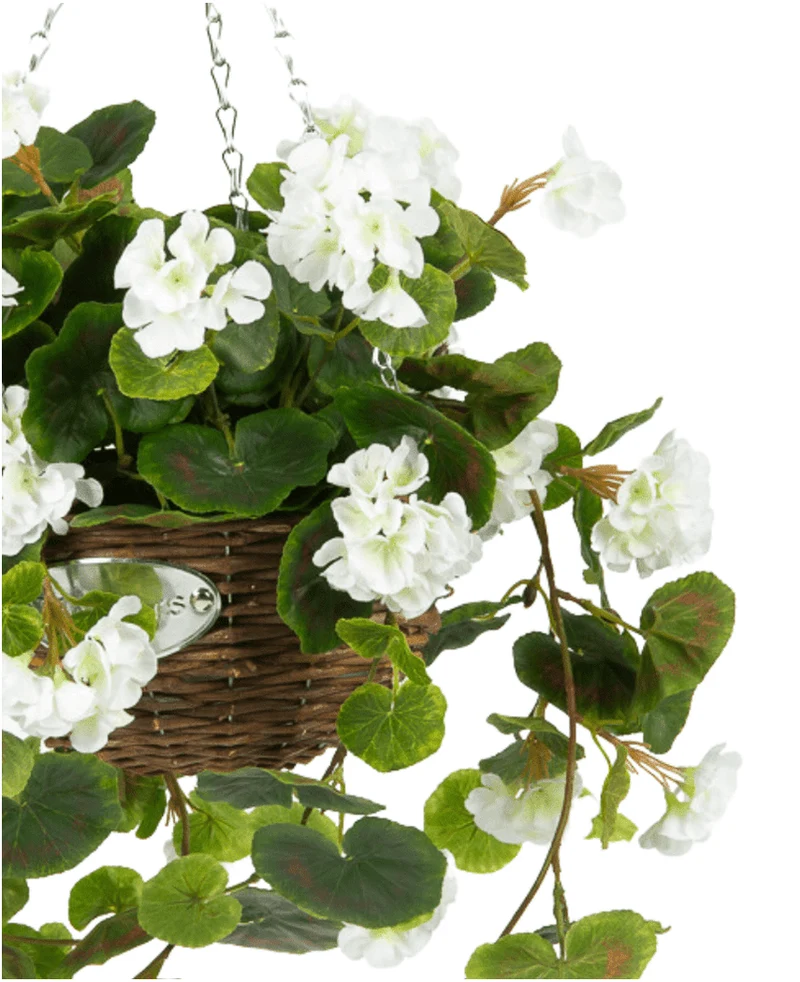 Kunst begonia Wit in Mand UV 70cm