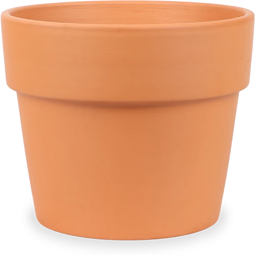 Mae (15cm)