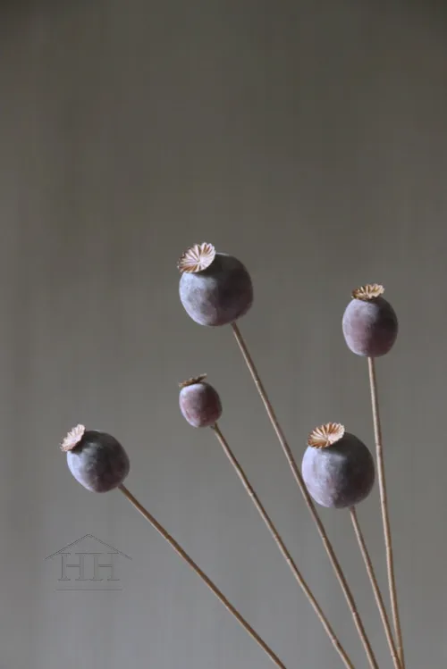 Papaver kunsttak grijs - 75 cm