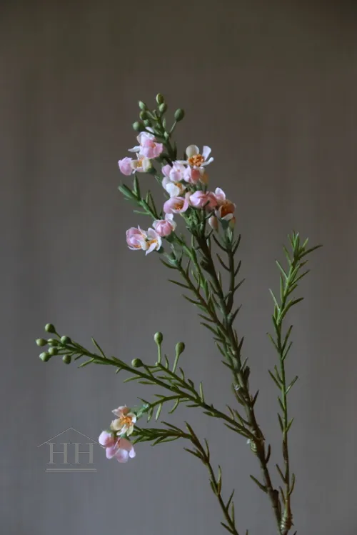 Kunstbloem wax flower 71 cm licht roze