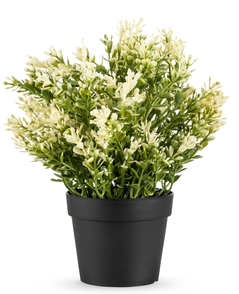 Künstlicher Buxus im Topf 23 cm UV