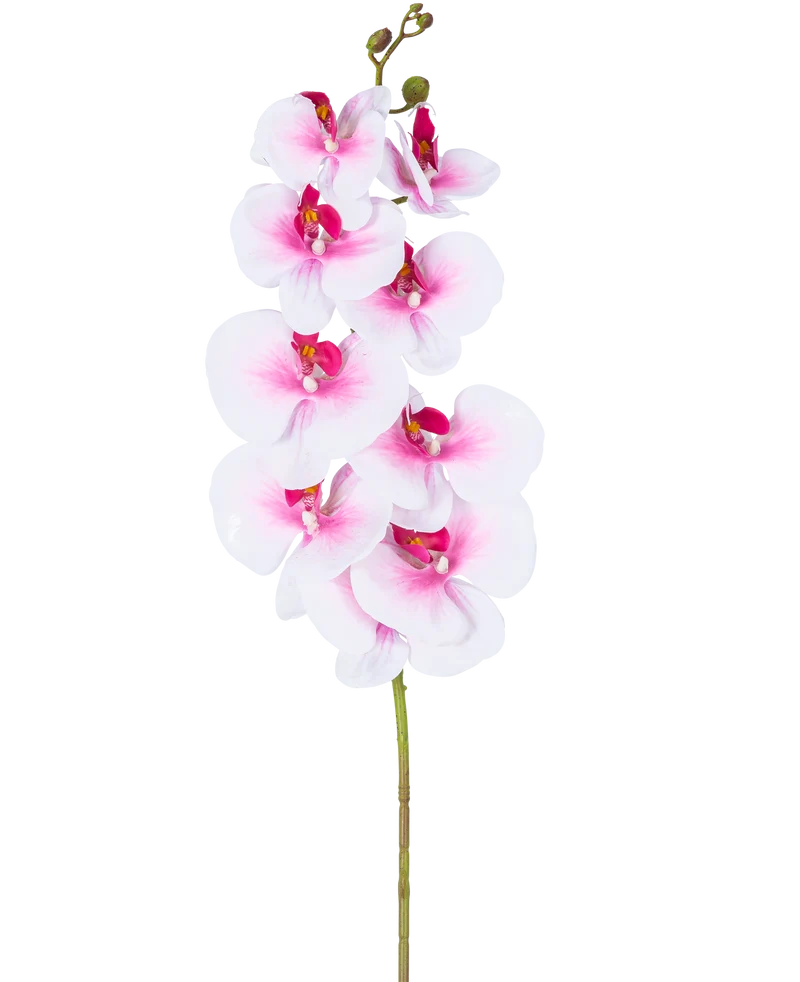 Künstliche Orchidee Real Touch Deluxe 105 cm rosa/weiß