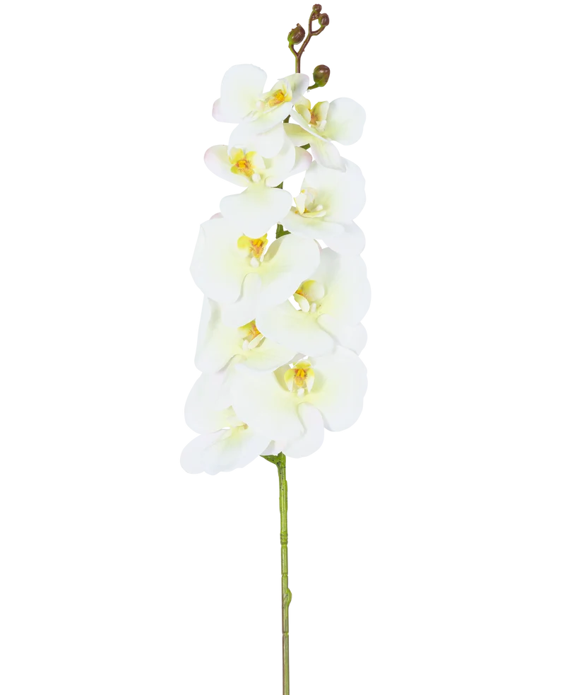 Künstliche Orchidee Real Touch Deluxe 105 cm weiß/gelb