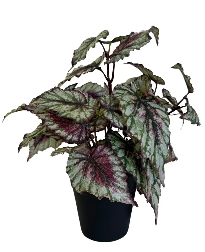 Kunstplant Begonia in pot 25cm
