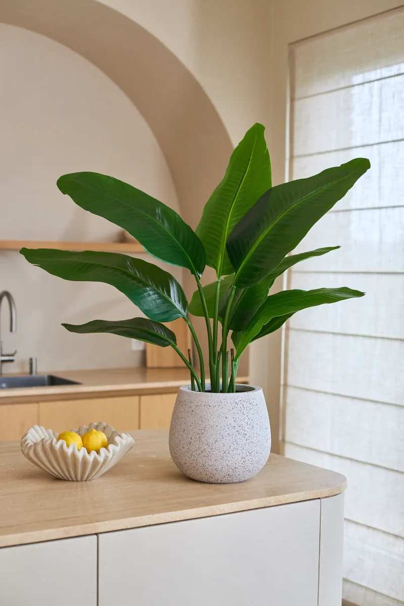 Kunstplant Strelitzia Real Touch Deluxe 90 cm