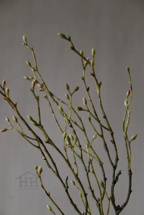 Kunst tilia bosje lang 52cm