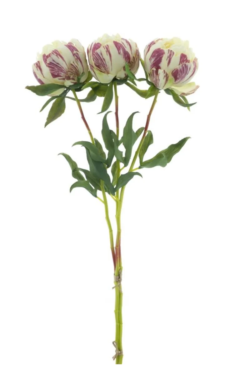 Pfingstrosen-Bündel 3 Stk. Creme 63 cm