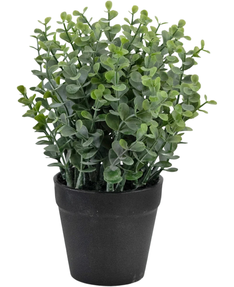 Künstliche Pflanze Pumila 23 cm