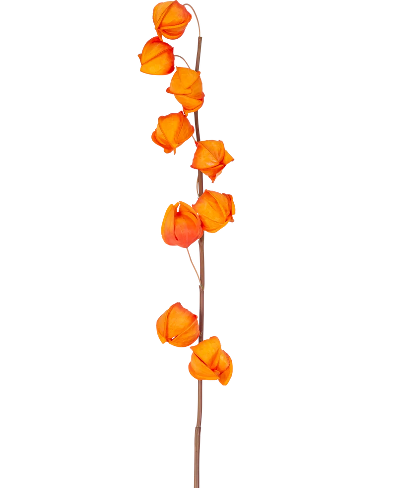 Künstliche Blume Physalis Lampion 90 cm orange