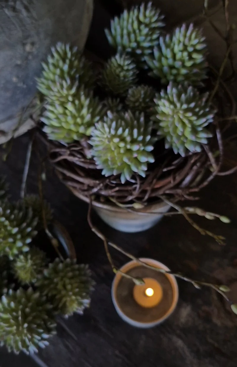 Kunst vetplant sedum groen UV