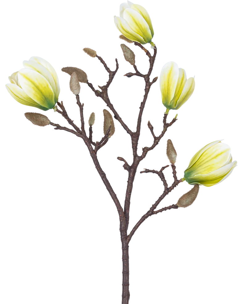 Künstliche Blume Magnolie 50 cm weiß/grün