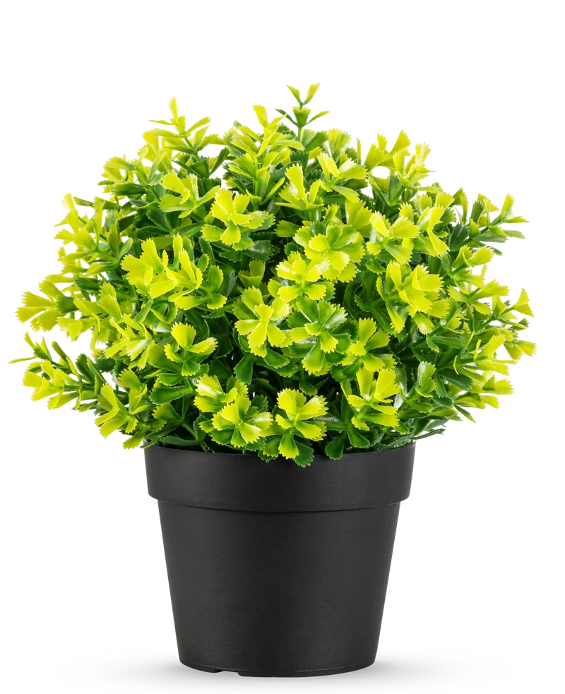 Künstliche Pflanze Rosmarin 22 cm UV