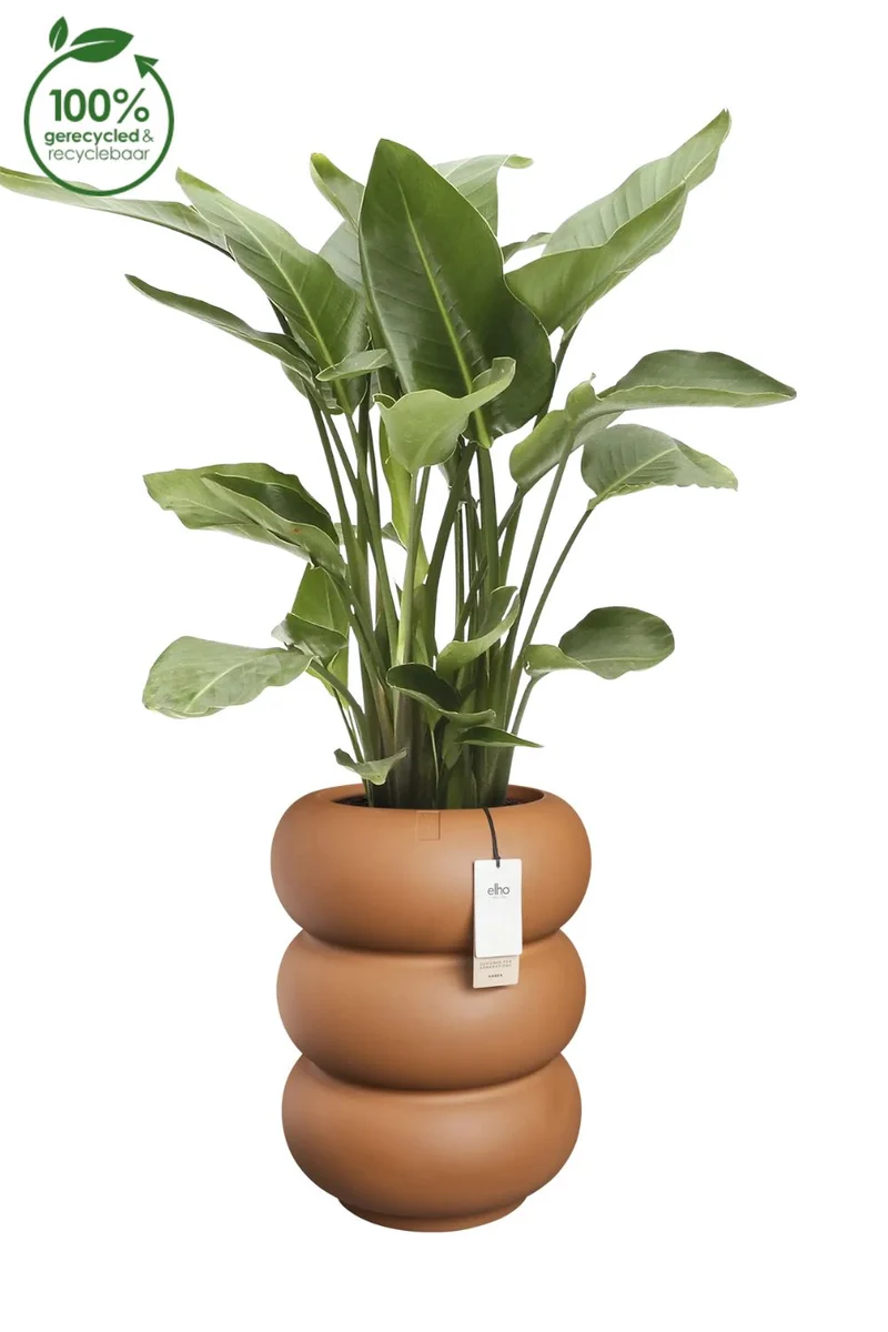 Blumentopf Elho Amber Roll High 58 cm Karamell