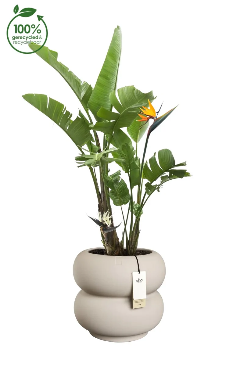 Blumentopf Elho Amber Roll Low 40 cm Balanced Beige