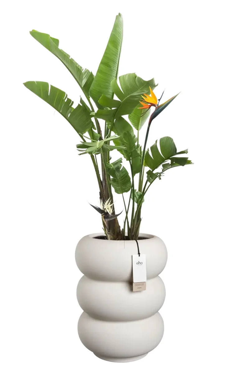 Blumentopf Elho Amber Roll High 58 cm Leinen Weiß