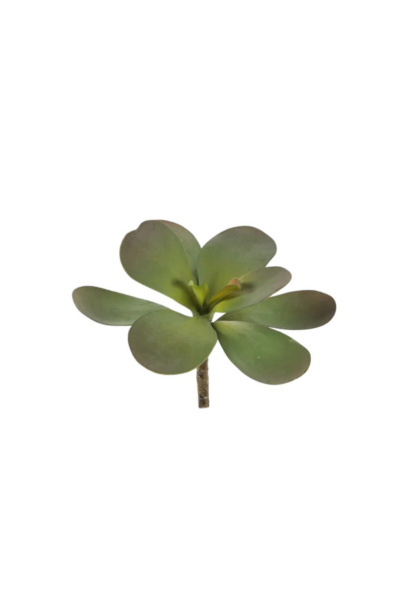 Pre-order Jadeplant kunst vetplant 14 cm
