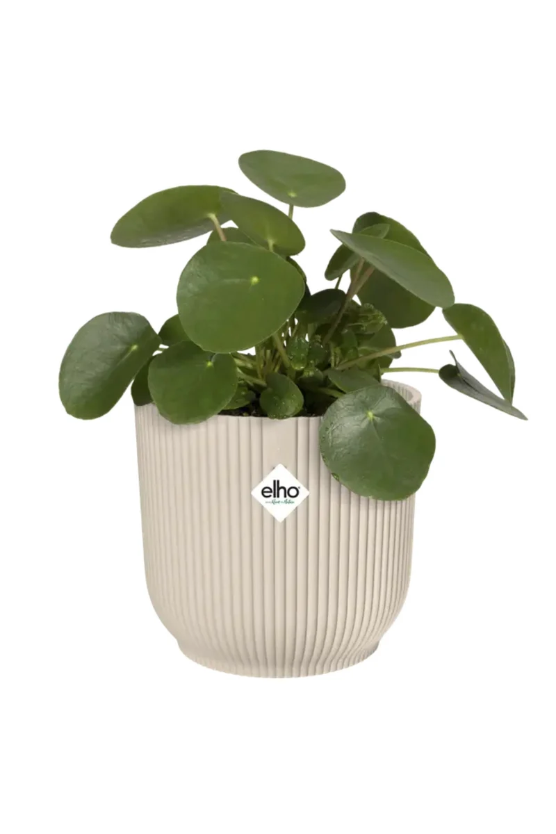 Blumentopf Elho Vibes Fold Rund 18 cm Leinenweiß
