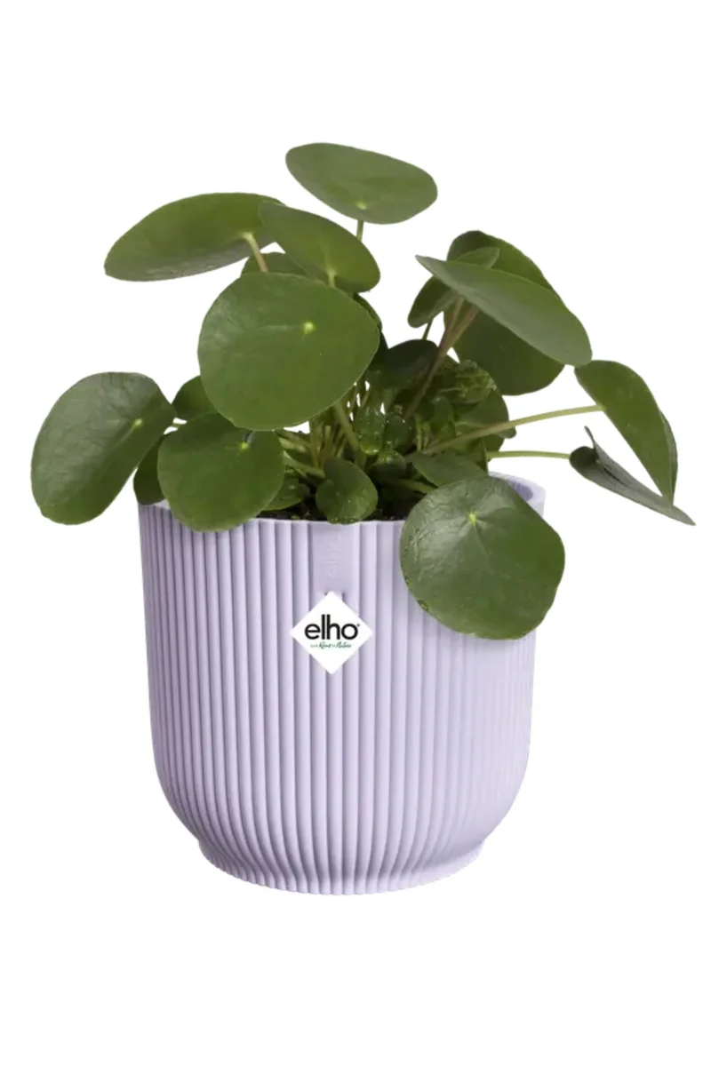 Blumentopf Elho Vibes Fold Rund 14 cm Zartlila