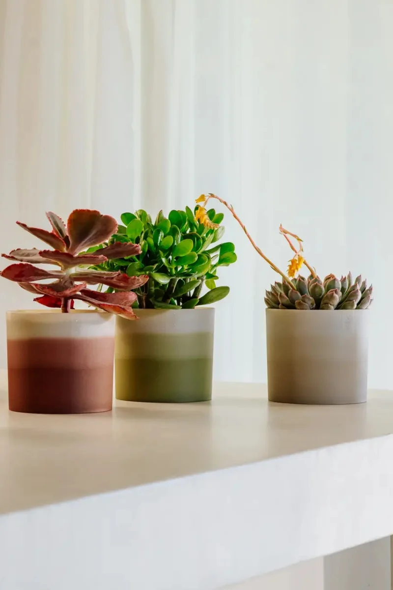Blumentopf Elho Colour Gradient Rund 14cm Zedernbraun