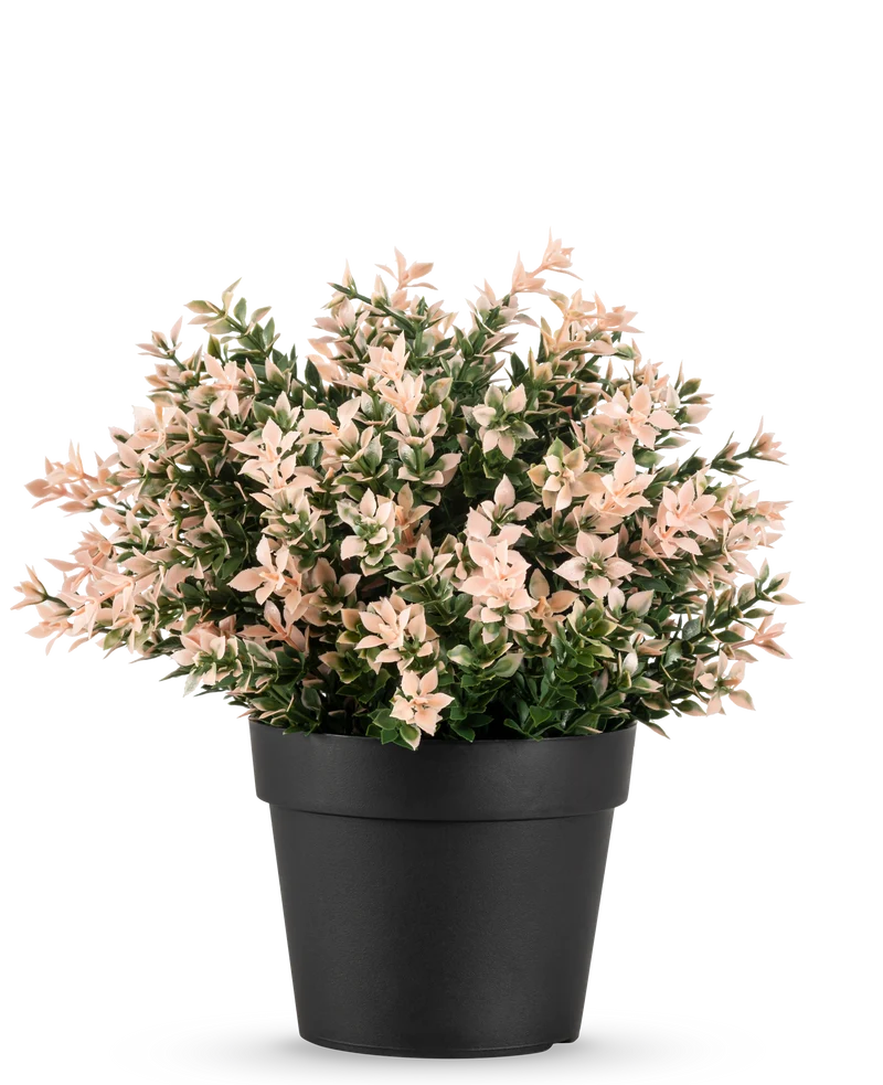 Künstliche Pflanze Buxus rosa 22 cm UV