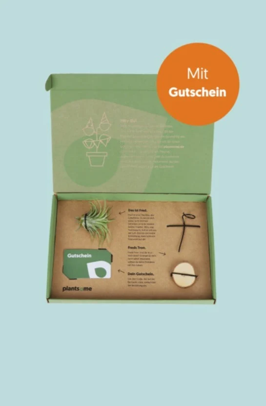 Plantsome Giftbox