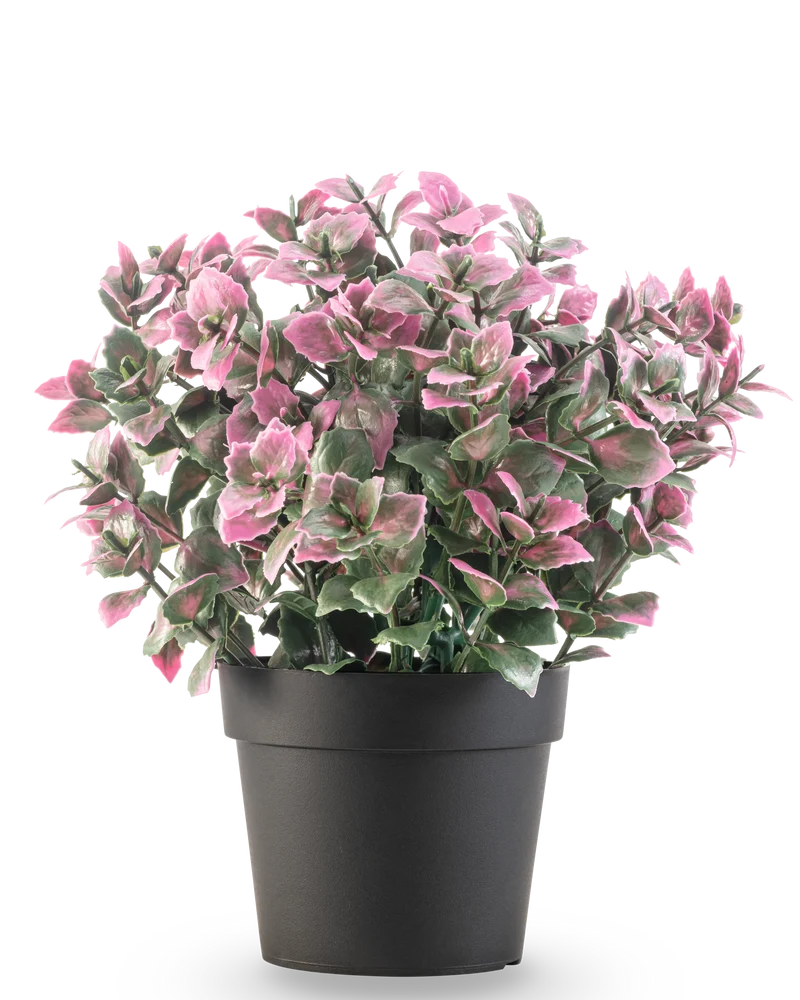 Künstliche Pflanze Eukalyptus lila im Topf 22 cm UV