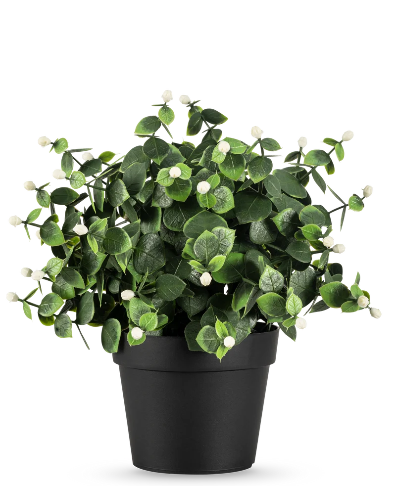 Künstliche Pflanze Eukalyptus weiß im Topf 22 cm UV