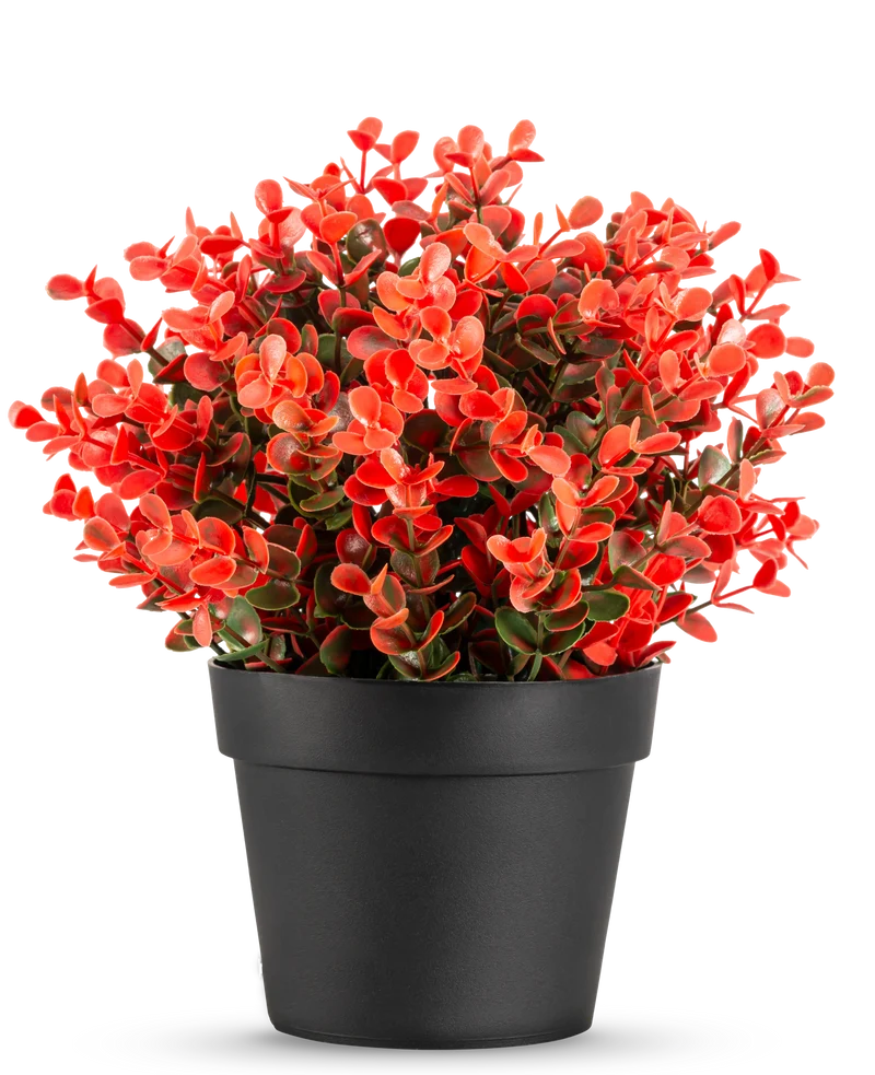 Künstlicher Buxus rot im Topf 19 cm UV