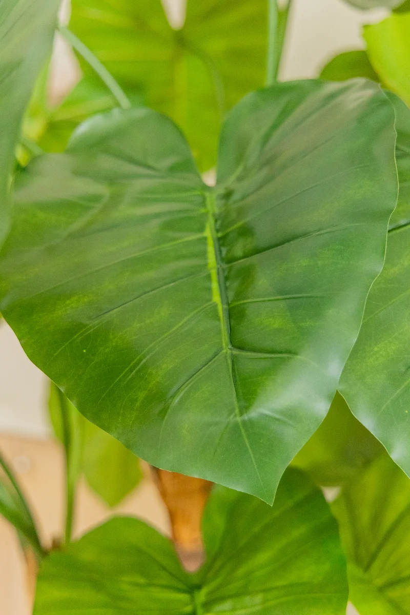 Alocasia Kunstpflanze 140cm