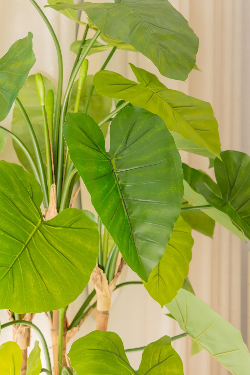Alocasia Kunstpflanze 165cm