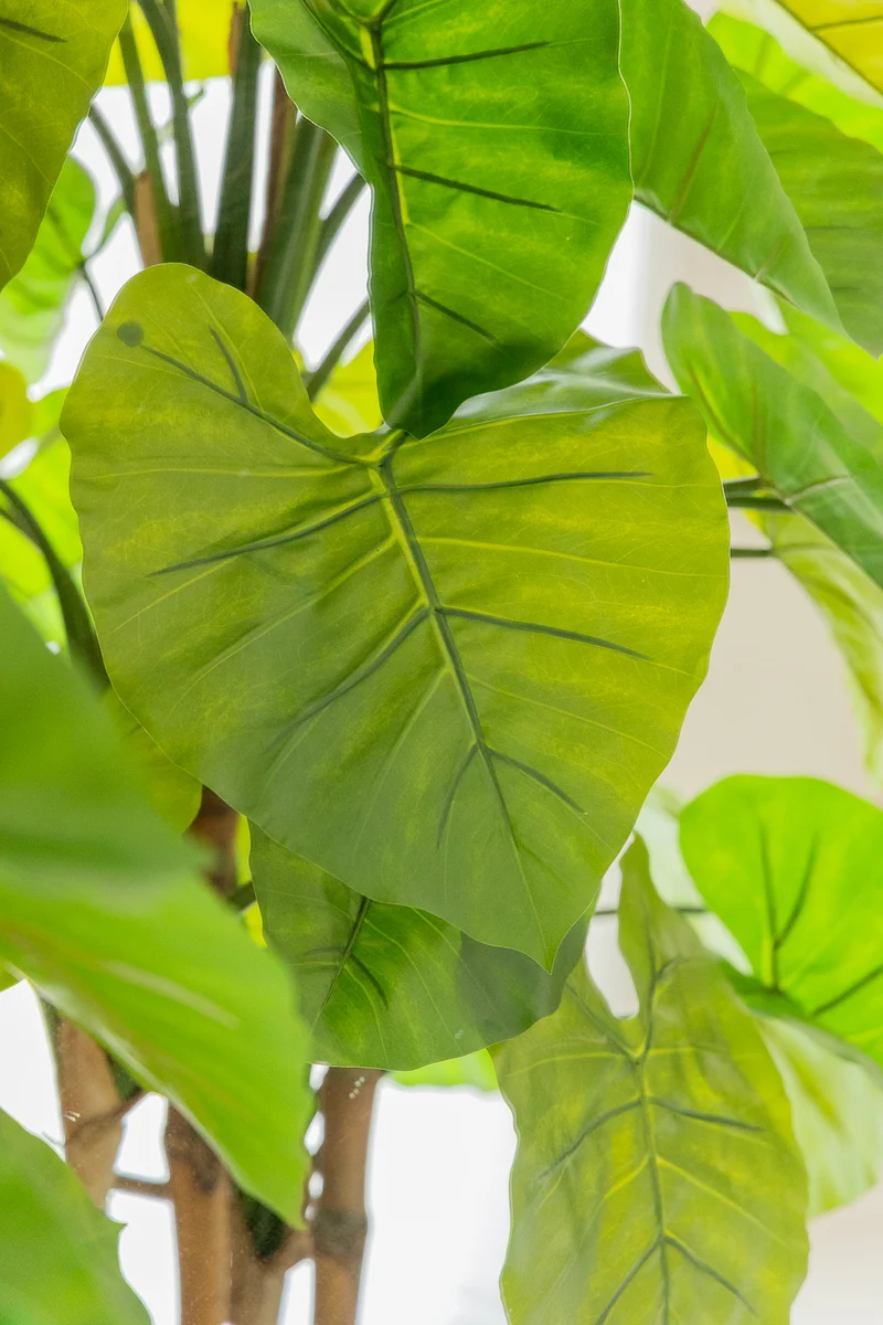 Alocasia Kunstpflanze 165cm