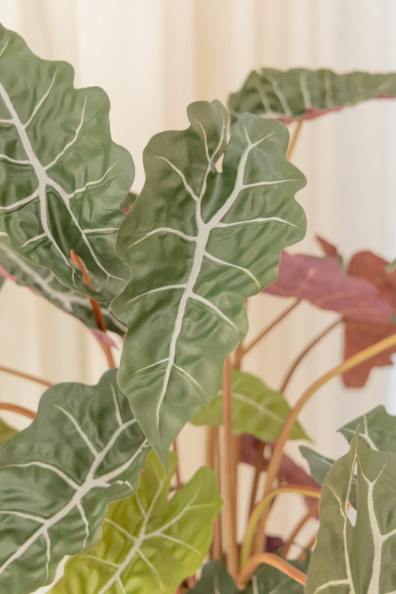Alocasia Kunstpflanze 80cm