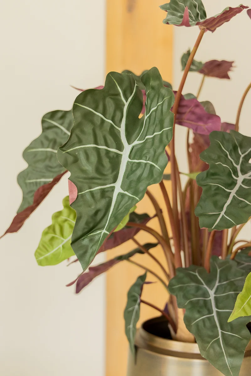 Alocasia Kunstpflanze 80cm
