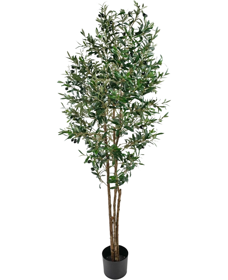 Künstlicher Olivenbaum 180 cm UV