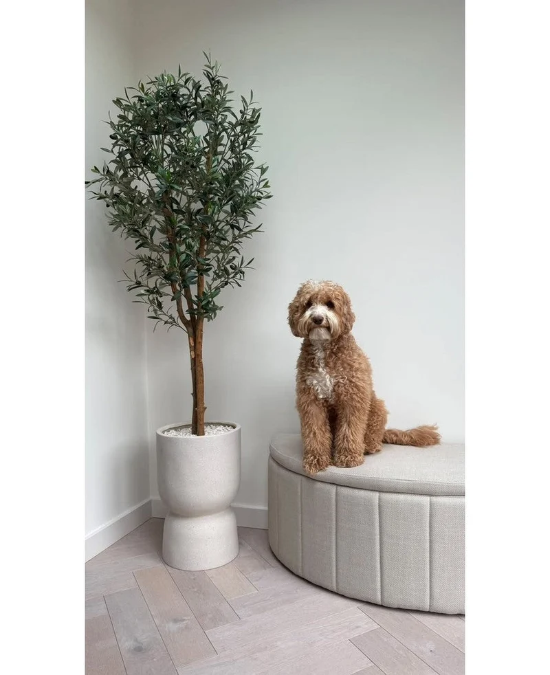 Künstlicher Olivenbaum 180 cm UV