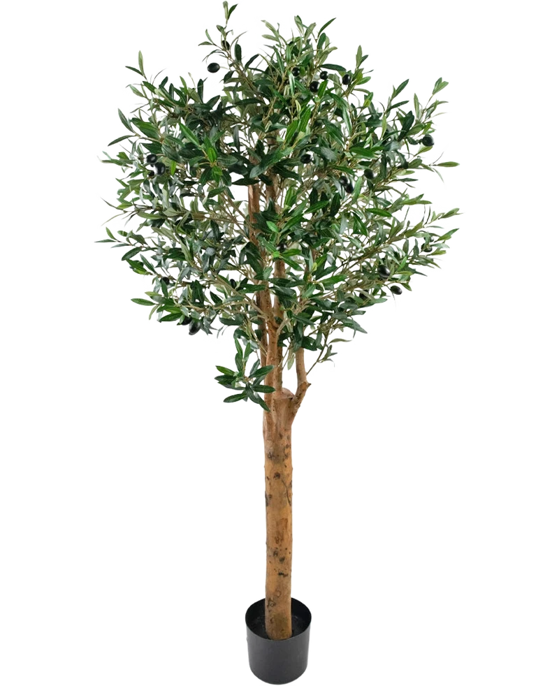 Künstlicher Olivenbaum 155 cm UV