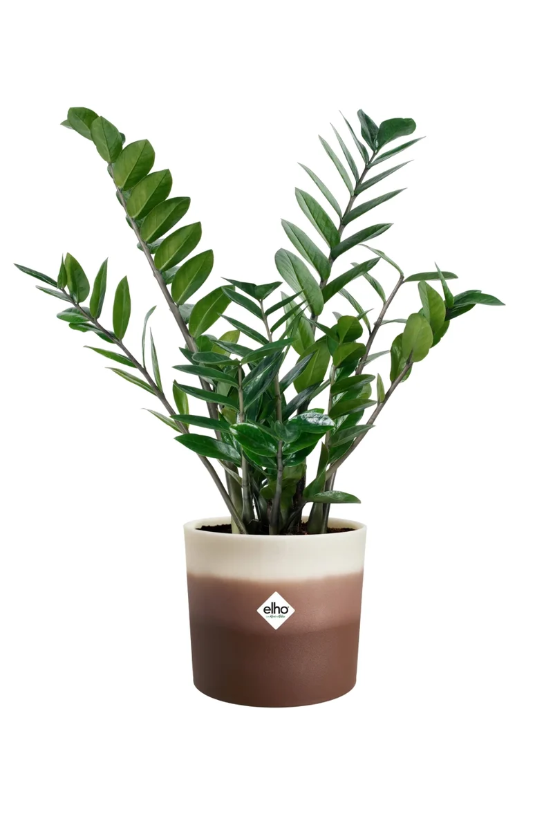 Blumentopf Elho Colour Gradient Rund 14cm Zedernbraun